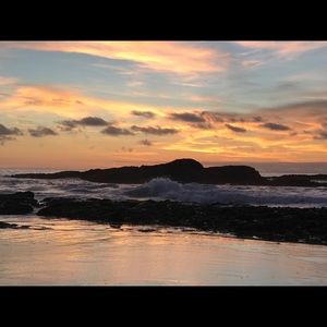 Meet your Posher, Gilbert